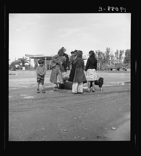 After a lift of five miles by a passing motorist, the family of homeless, walking people are left at the edge of the next town