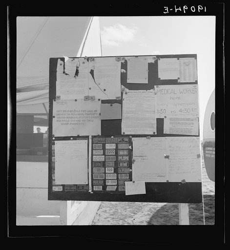 Calipatria, Imperial Valley. Farm Security Administration (FSA) migratory labor camp (emergency). Migratory workers, in camp for pea harvest, scan the bulletin board at entrance