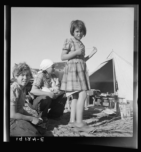 Part of family arrived the night before from Rockwell, Texas. Picked their way across the country. Encamped on the river bottom. Near Holtville. Imperial Valley, California