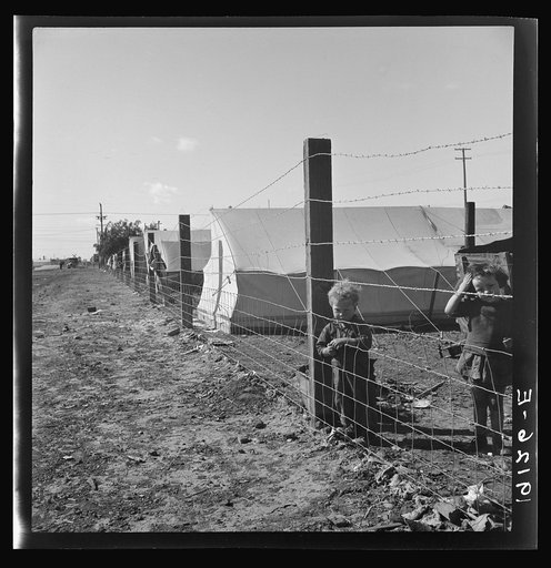 Untitled photo, possibly related to: Living conditions for migratory children in private auto camp during pea harvest. Tent space fifty cents a week. Outskirts of Calipatria, California