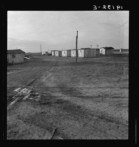 Untitled photo, possibly related to: Same as 19051. Newly-built cabins, rent five dollars per month. California. Near Bakersfield