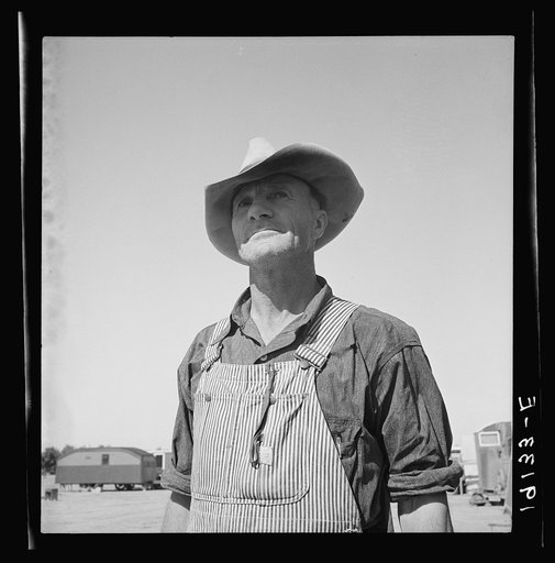 Untitled photo, possibly related to: Nebraska farmer come to pick peas. Near Calipatria, California