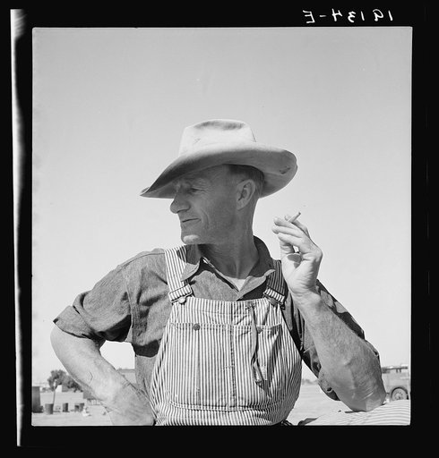 Untitled photo, possibly related to: Nebraska farmer come to pick peas. Near Calipatria, California