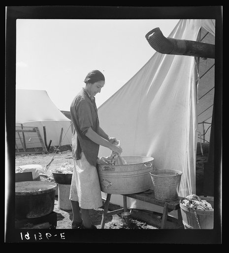 Pea picker camp. This family had been farm owners in Oklahoma, lost their farm and for the last three years "have been draggin' our children around California. We're a have-to case." Calipatria, Imperial Valley, California