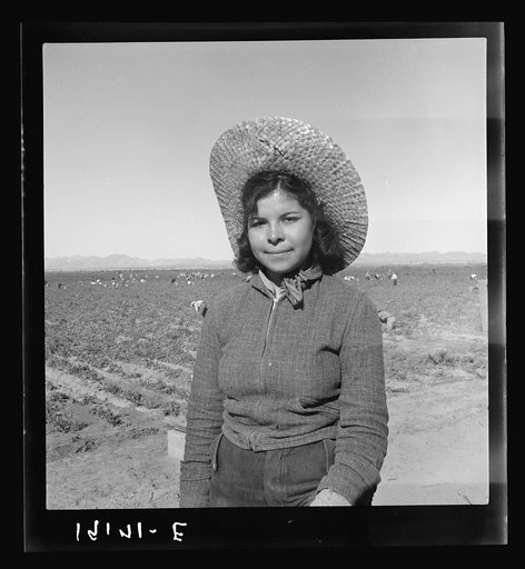 Mexican girl who picks peas for the eastern market. Imperial Valley, California