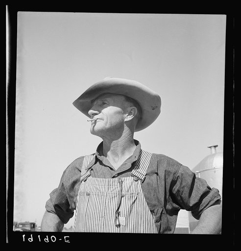 Nebraska farmer come to pick peas. Near Calipatria, California
