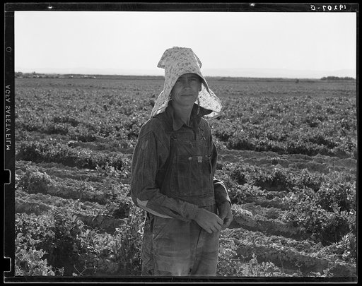 Near Calipatria. Pea picker at the end of the day
