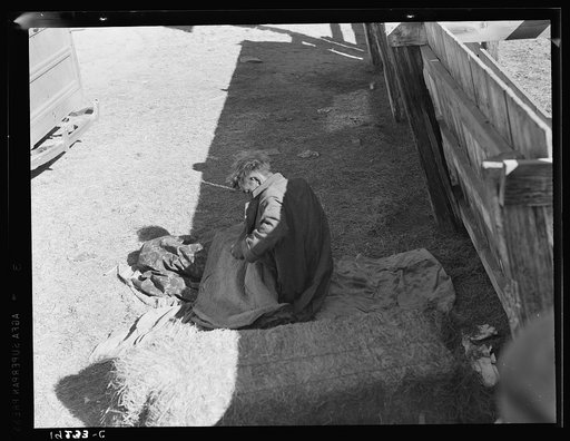 Hobo wakes up early in the morning from his bed alongside a corral. Imperial Valley, California