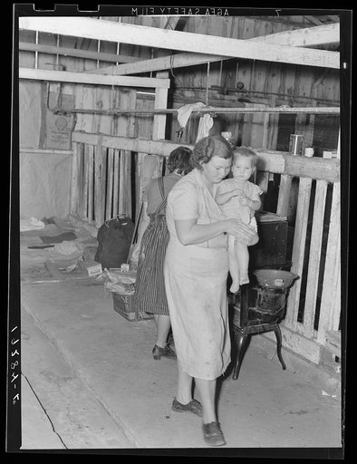 Near Shafter, California. Family from Oklahoma lives in old cow-barn and picks cotton for seventy-five cents a 100 pounds. During cotton strike