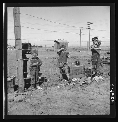 Living conditions for migratory children in private auto camp during pea harvest. Tent space fifty cents a week. Outskirts of Calipatria, California