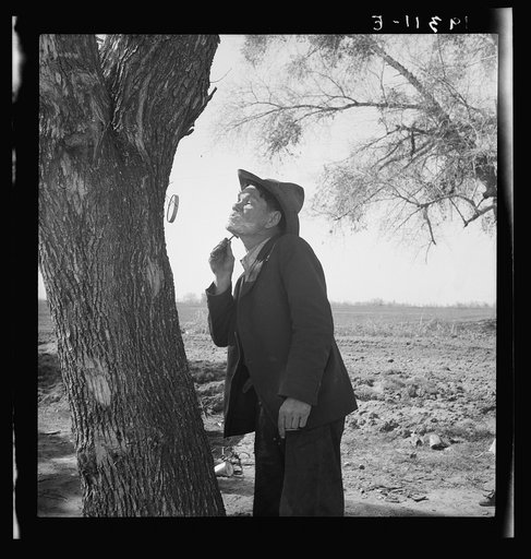 On U.S. 99 between Bakersfield and the Ridge, en route to San Diego. Migrant man shaving by roadside. See general caption 1.