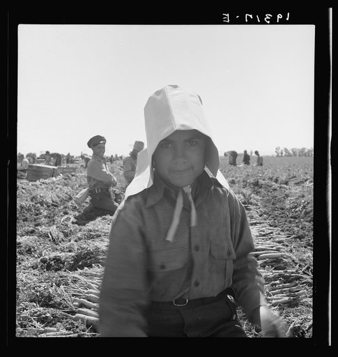 Untitled photo, possibly related to: Texas woman in carrot pullers' camp. Imperial Valley, California. This sunbonnet is typical of women who came from Texas