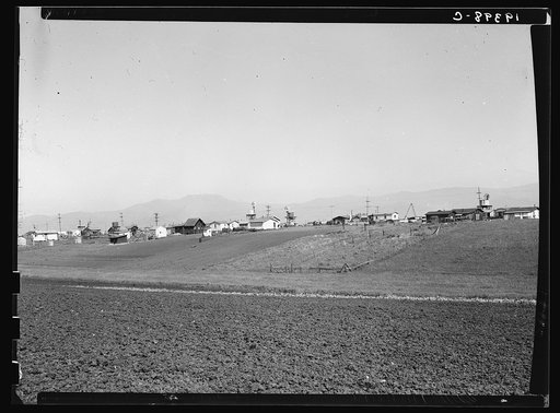 Untitled photo, possibly related to: Outskirts of Salinas, California. Shacks occupied by lettuce shed workers, many from Oklahoma