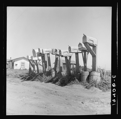 Untitled photo, possibly related to: Mail boxes of lettuce workers. Settlement on outskirts of Salinas, California