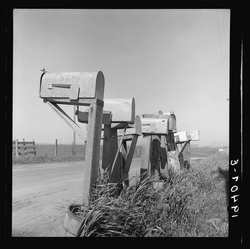 Mail boxes of lettuce workers. Settlement on outskirts of Salinas, California