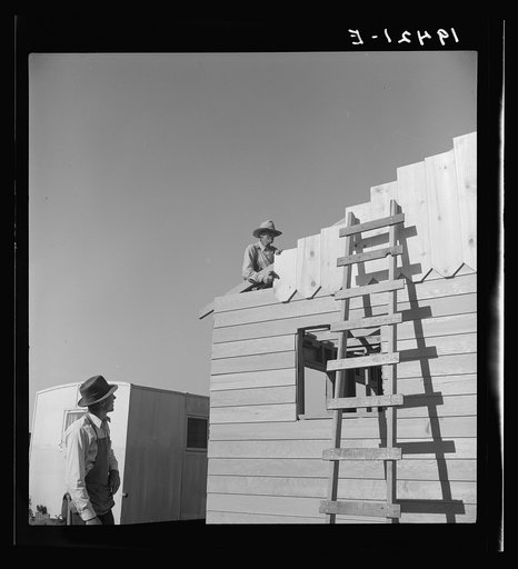 Father and son, recent migrants to California, building house in rapidly growing settlement of lettuce workers on fringe of town. Salinas, California