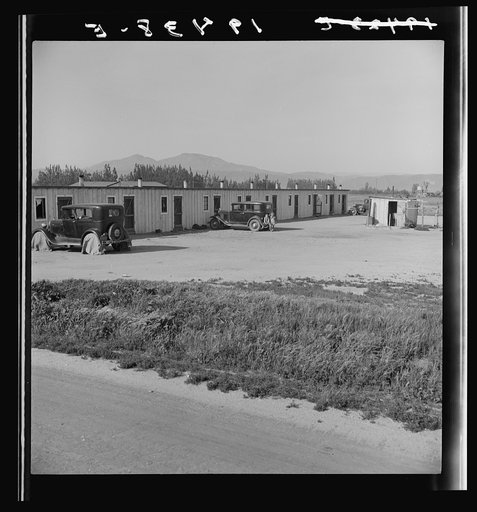 Arkansawyers auto camp, filled almost completely with Arkansas migrants. Greenfield, Salinas Valley, California. Rent ten dollars per month for one room and iron bed and electric light