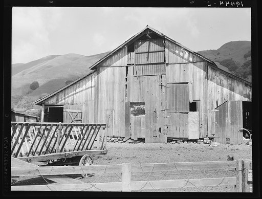Farmyard of small Italian farmer. Santa Clara County, California
