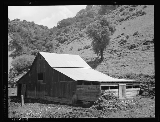 Barn in a valley back of Mission San Jose. Santa Clara County, California