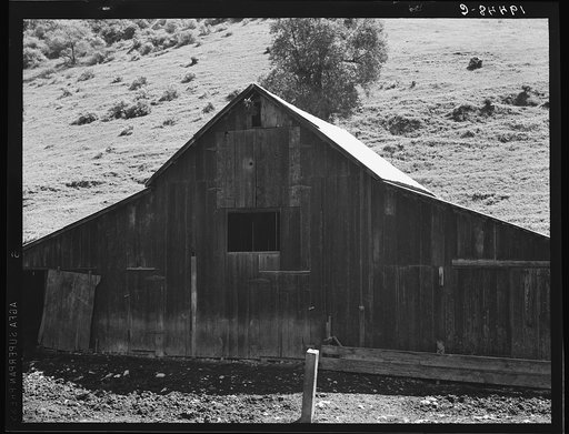 Barn in a valley back of Mission San Jose. Santa Clara County, California