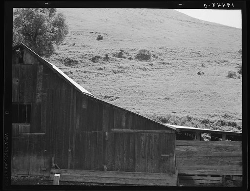 Untitled photo, possibly related to: Barn in a valley back of Mission San Jose. Santa Clara County, California