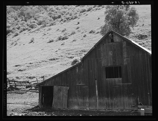 Barn in a valley back of Mission San Jose. Santa Clara County, California