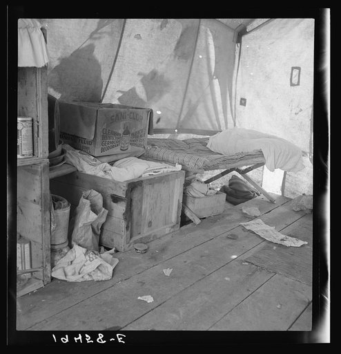 Untitled photo, possibly related to: Tent interior in a pea pickers' camp. Food supply and household equipment. Santa Clara County, California
