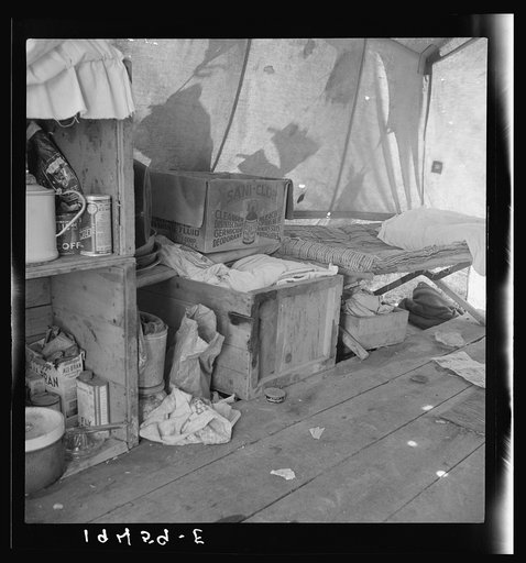 Tent interior in a pea pickers' camp. Food supply and household equipment. Santa Clara County, California