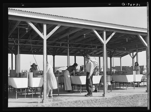 Untitled photo, possibly related to: Laundry facilities for migratory workers in Farm Security Administration (FSA) camp at Westley, California