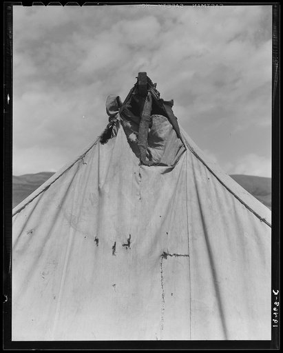 Untitled photo, possibly related to: Pea picker's tent near San Jose, California