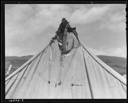Untitled photo, possibly related to: Pea picker's tent near San Jose, California