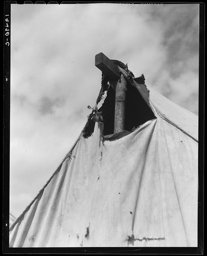 Pea picker's tent near San Jose, California