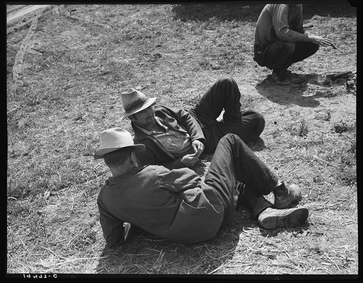 Idle migrants. Foothills north of San Jose, California. "If the sun shines tomorrow and nothin' happens we'll pick. And they've got orders from the law, all of us guys who don't want to work here, to move us out."
