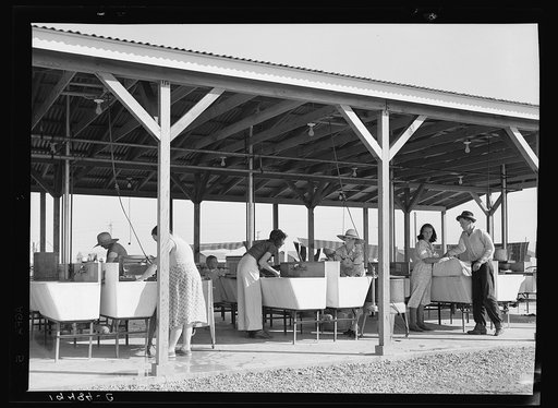Laundry facilities in Farm Security Administration (FSA) camp for migrant labor. Westley, California