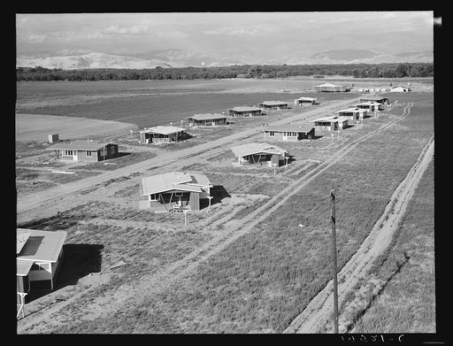 Tulare County, California. New homes for families on the Mineral King cooperative farms. This farm is situated on the site of an old ranch. Employs eighteen families; comprises 500 acres of alfalfa and cotton lands. Large-scale farming methods