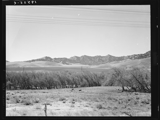 Untitled photo, possibly related to: U.S. 99. On ridge over Tehachapi Mountains. Heavy truck route between Los Angeles and San Joaquin Valley over which migrants travel back and forth