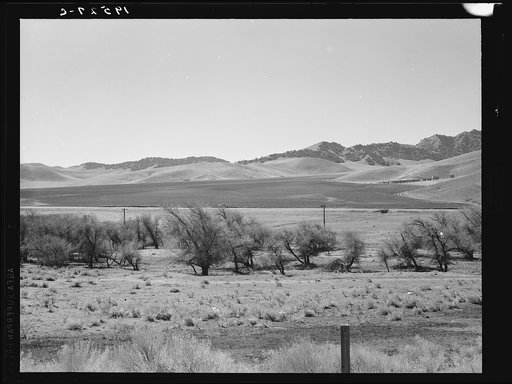 Untitled photo, possibly related to: U.S. 99. On ridge over Tehachapi Mountains. Heavy truck route between Los Angeles and San Joaquin Valley over which migrants travel back and forth