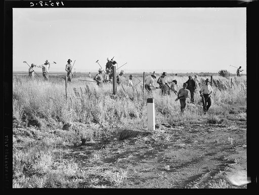 Untitled photo, possibly related to: Near Los Banos, California. Migratory agricultural workers, cotton hoers. Leave field at the end of the day. Wages twenty cents per hour