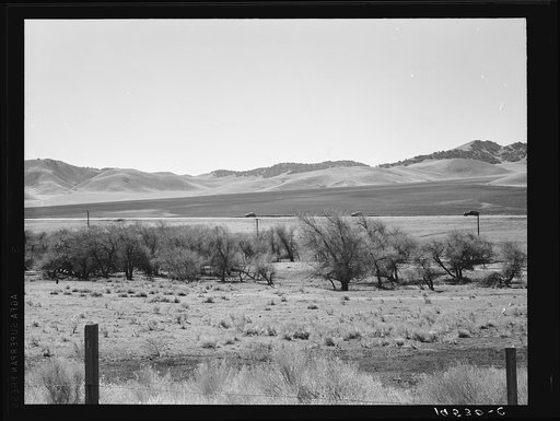 Untitled photo, possibly related to: U.S. 99 on ridge over Tehachapi Mountains. Heavy truck route between Los Angeles and San Joaquin Valley over which migrants travel back and forth. California