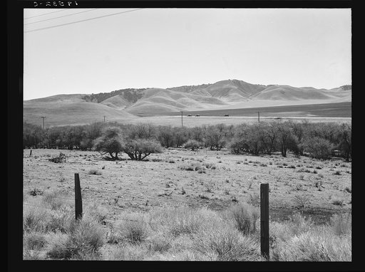 U.S. 99 on ridge over Tehachapi Mountains. Heavy truck route between Los Angeles and San Joaquin Valley over which migrants travel back and forth. California