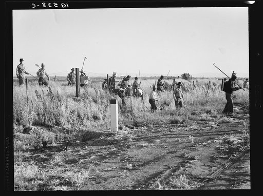 Untitled photo, possibly related to: Near Los Banos, California. Migratory agricultural workers, cotton hoers. Leave field at the end of the day. Wages twenty cents per hour