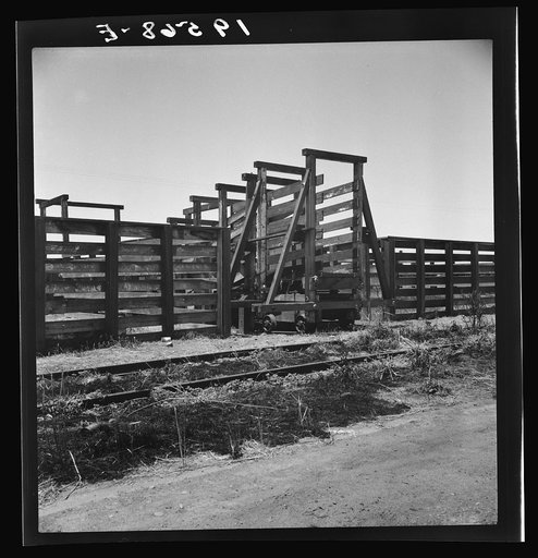 Fresno County on U.S. 99. See general caption. The end of the Chisholm Trail. Loading point for cattle shipment, showing cattle chute and part of corral