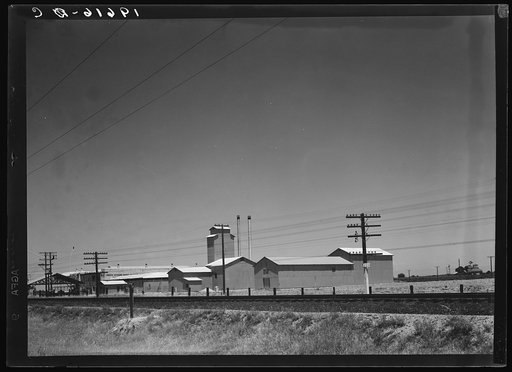 Untitled photo, possibly related to: Between Tulare and Fresno, California on US 99. Winery belonging to Muscat Cooperative Winery Association