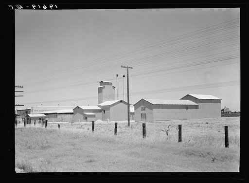 Untitled photo, possibly related to: Between Tulare and Fresno, California on US 99. Winery belonging to Muscat Cooperative Winery Association