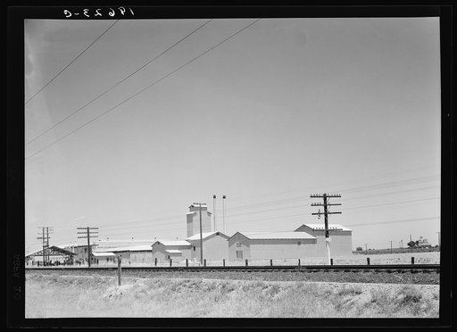Untitled photo, possibly related to: Between Tulare and Fresno, California on US 99. Winery belonging to Muscat Cooperative Winery Association