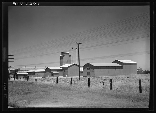 Between Tulare and Fresno, California on US 99. Winery belonging to Muscat Cooperative Winery Association