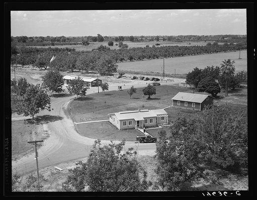 Entrance to camp showing clinic (light building in foreground). Same as 19635. Farmersville, California