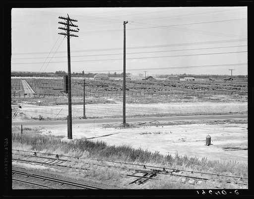 Between Tulare and Fresno. Stockyards seen from overpass. (See general caption.) California
