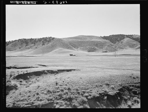 Between Tulare and Fresno, California