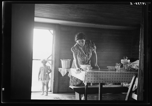 Wife of tobacco sharecropper in kitchen of home. Person County, North Carolina